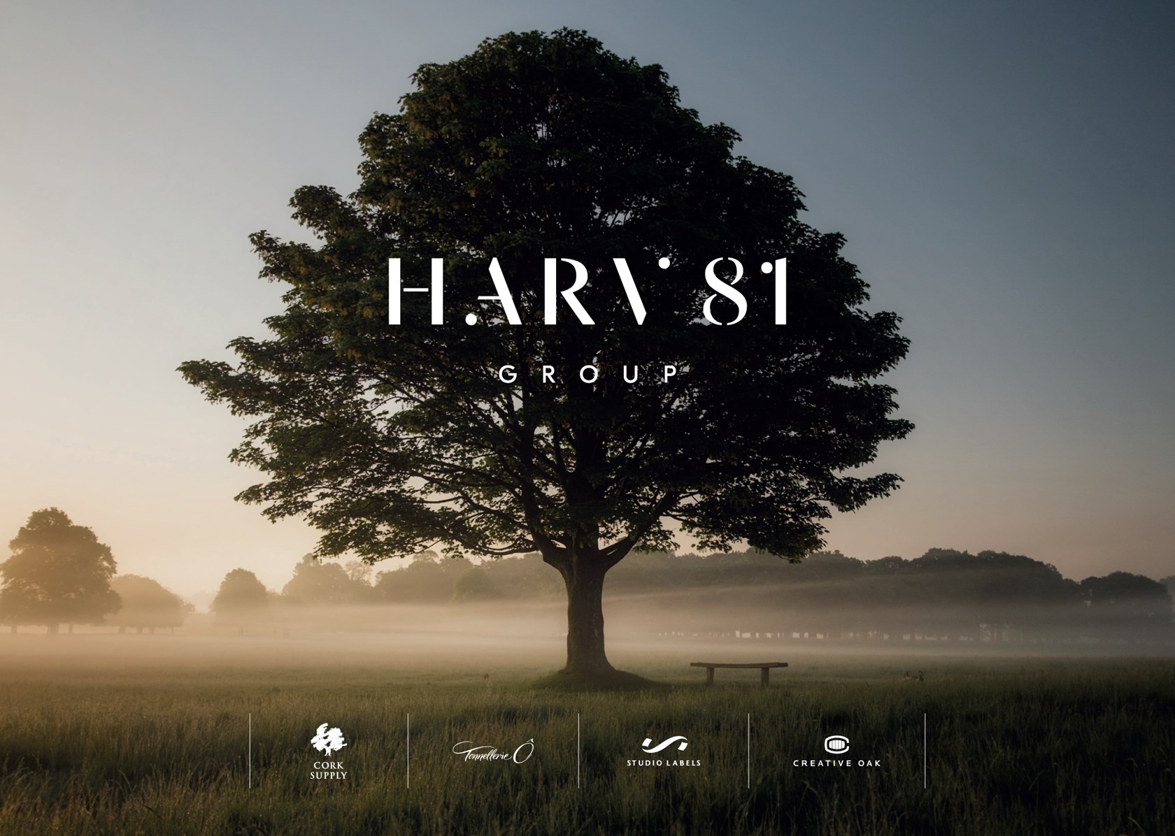 Harv81group Banners Website 13
