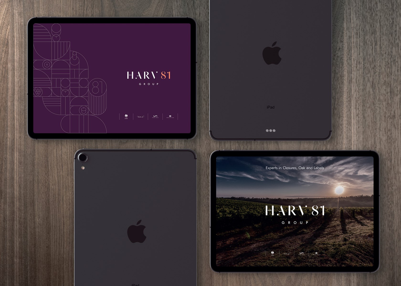 Harv81group Banners Website 09